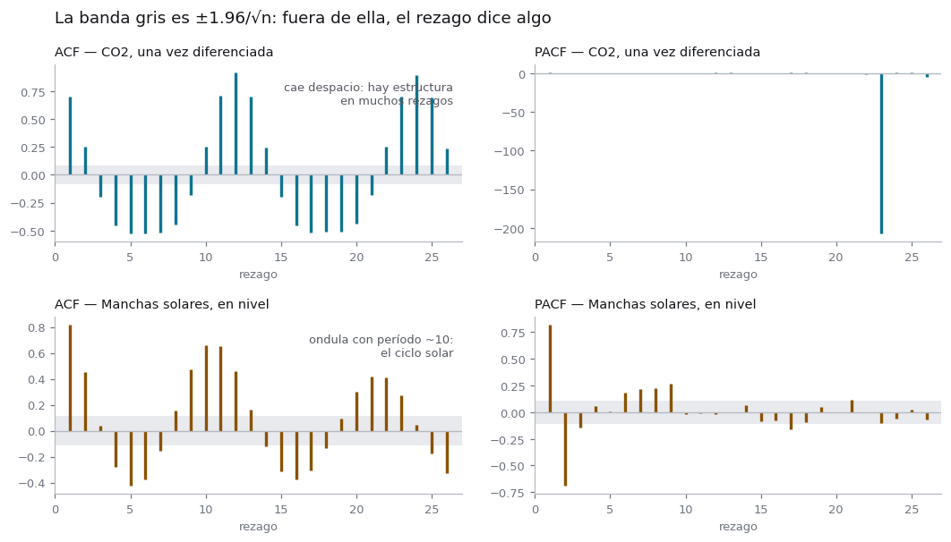 Cuatro paneles. Arriba, la ACF y la PACF del CO2 diferenciado: la ACF decae despacio con muchos rezagos fuera de la banda de significancia y la PACF se corta pronto. Abajo, la ACF y la PACF de las manchas solares: la ACF ondula con período cercano a diez rezagos, cruzando el cero y volviendo, mientras la PACF se apaga rápido. Una banda gris marca el umbral de más menos 1.96 sobre raíz de n.